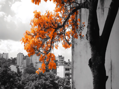 El Salvador Ignores IMF, Continues Bitcoin Accumulation